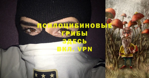 PSILOCYBIN Алексеевка