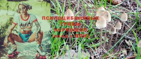PSILOCYBIN Алексеевка