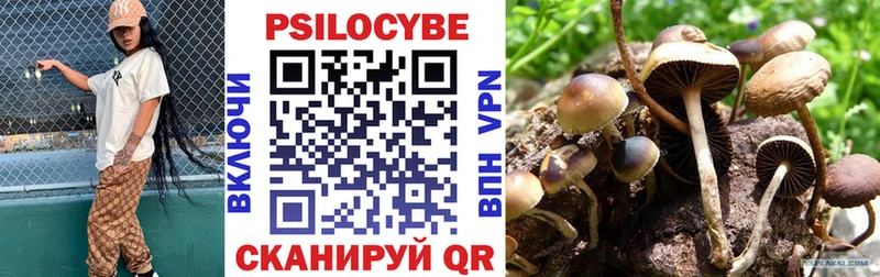 Псилоцибиновые грибы Psilocybine cubensis  купить наркотики сайты  Павлово 