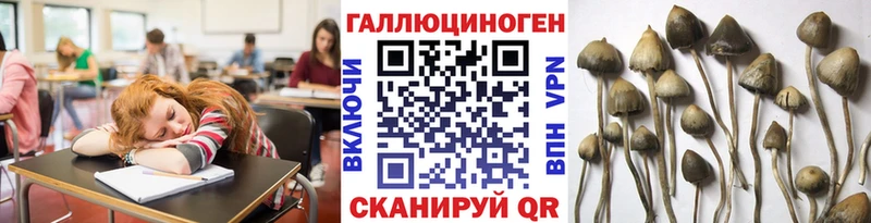 Псилоцибиновые грибы мицелий Павлово